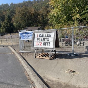 The Plant Warehouse - Half gallon plants 1/2 off!!  They have winter vegetables, fruit trees  and flowers. - Nurseries & Gardening Near Me - Roseburg, Oregon