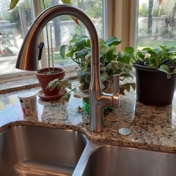 Blue Collar Plumbing Company