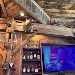 Niko's Pointers Saloon - Behind bar. Rustic, very rustic.
