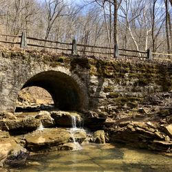 Bridges To The Past