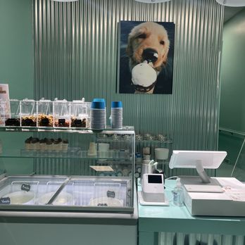 Salty Paws Pittsburgh - Pet Stores Near Me - Pittsburgh, Pennsylvania