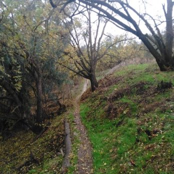 Putah Creek Riparian Reserve - Hiking Near Me - Davis, California Putah Creek Riparian Reserve - Hiking Near Me - Davis, California