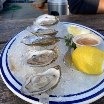 Fish - Fresh Oysters - Seafood Near Me - Sausalito, California Fish - Fresh Oysters - Seafood Near Me - Sausalito, California