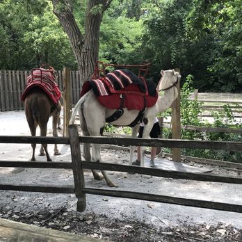 Blank Park Zoo - Zoos Near Me - Des Moines, Iowa Blank Park Zoo - Zoos Near Me - Des Moines, Iowa