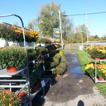 Miller Greenhouse - Nurseries & Gardening Near Me - Grand Blanc, Michigan Miller Greenhouse - Nurseries & Gardening Near Me - Grand Blanc, Michigan