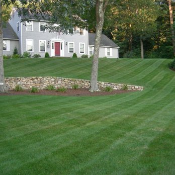 Five Star Landscaping & Tree Service - Nice stripes on a well maintained lawn really stand out! Call Ben for your lawn care needs. (508) 386-5603 - Tree Services Near Me - Taunton, Massachusetts Five Star Landscaping & Tree Service - Nice stripes on a well maintained lawn really stand out! Call Ben for your lawn care needs. (508) 386-5603 - Tree Services Near Me - Taunton, Massachusetts