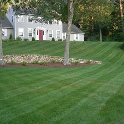 Five Star Landscaping & Tree Service - Nice stripes on a well maintained lawn really stand out! Call Ben for your lawn care needs. (508) 386-5603