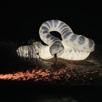 Minnesota Zoo - Look out for giant snakes! Thankfully we avoided his bite. - Zoos Near Me - Apple Valley, Minnesota Minnesota Zoo - Look out for giant snakes! Thankfully we avoided his bite. - Zoos Near Me - Apple Valley, Minnesota
