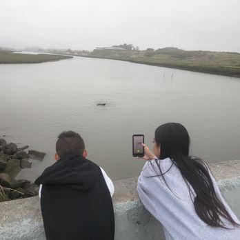 Salinas River State Beach - Beaches Near Me Salinas River State Beach - Beaches Near Me