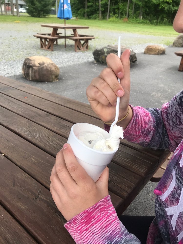 TASTY FREEZE Updated October 2024 641 McQueen Rd, Amsterdam, New