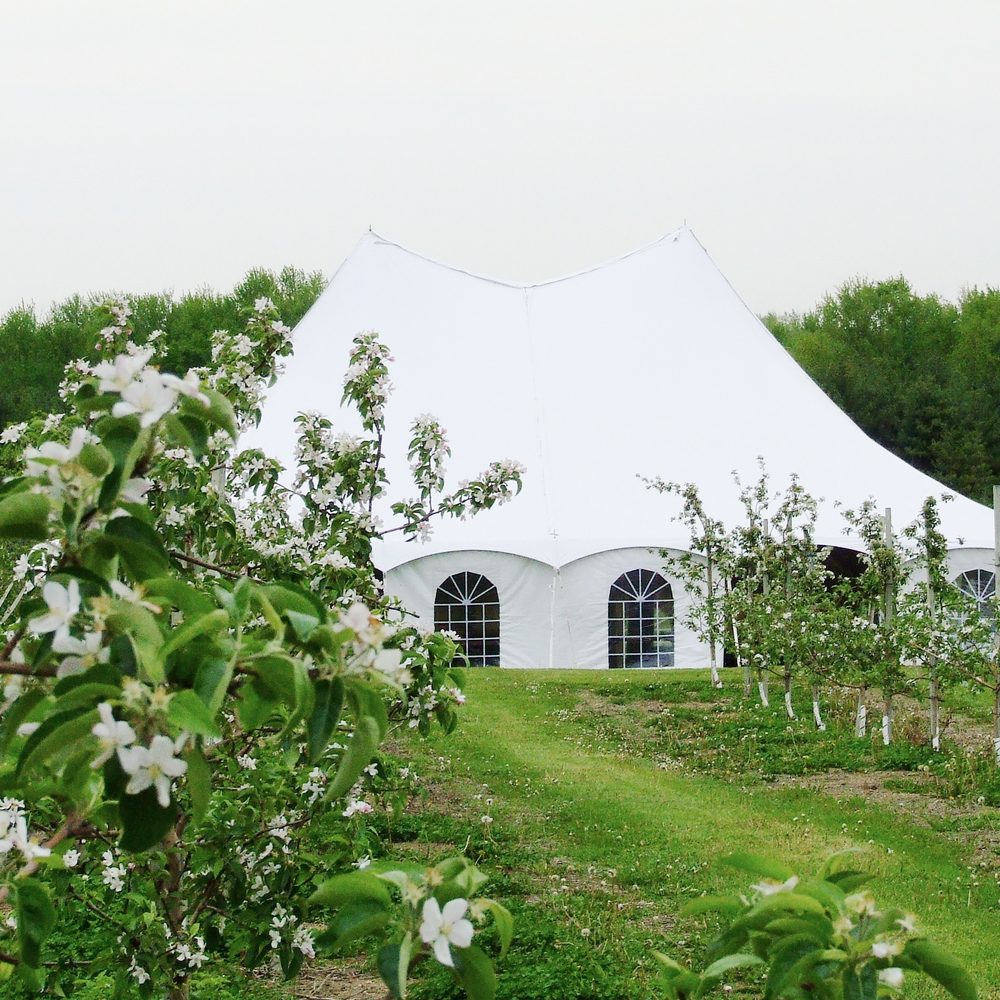 TOP 10 BEST Party Supplies near Cedar Springs, MI - Updated 2026 - Yelp