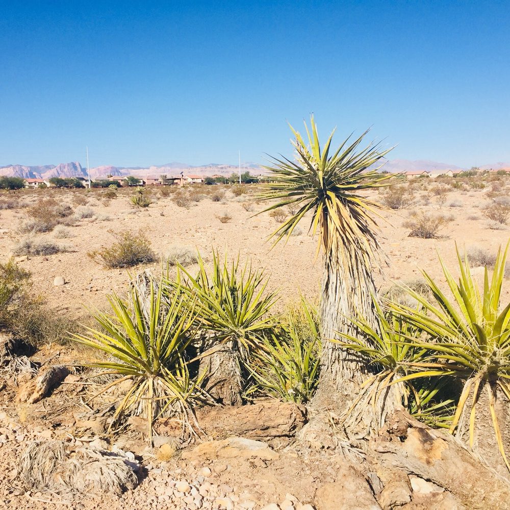 Mountain's Edge Trail - Parks Near Me - Las Vegas, Nevada