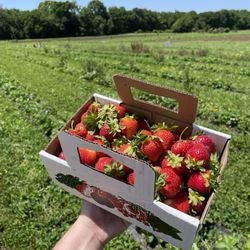 Allenbrooke Farms