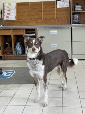 Upstate Auto Body Works