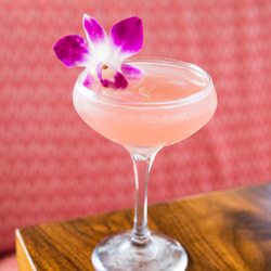 Sushi Roku - Fusion - Vodka, Pineapple, Honeydew Cantaloupe, Watermelon