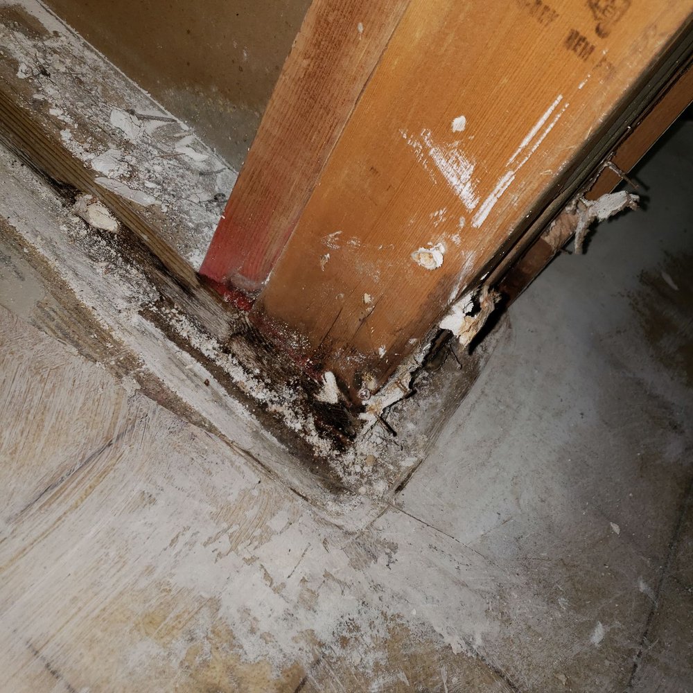 Realty Wealth Advisors - Mold and rotten studs - Property Management Near Me - Indianapolis, Indiana Realty Wealth Advisors - Mold and rotten studs - Property Management Near Me - Indianapolis, Indiana