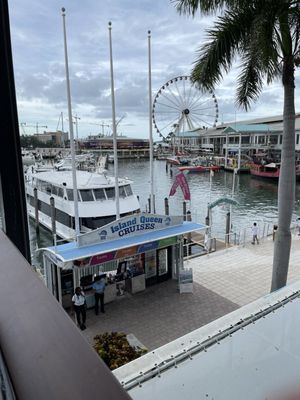 Black Market Bayside by null