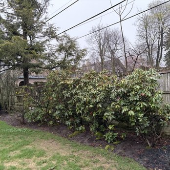 Buffalo Tree Soldiers - Tree Services Near Me - Buffalo, New York