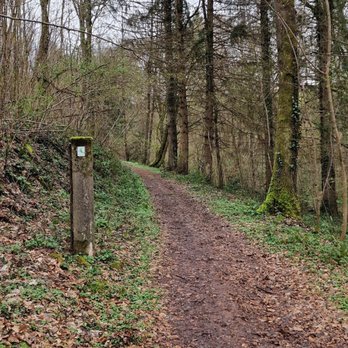 Hexenklamm - Wanderweg - Hiking Near Me - Pirmasens, RP
