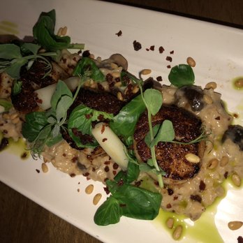 OLIVIA - Mushroom truffle risotto with scallops - Italian Near Me - Tampa, Florida