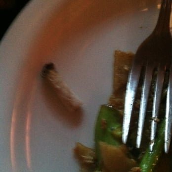 Jai Thai - The cigarette butt from my sons phad thai! Gross! - Thai Near Me - Seattle, Washington
