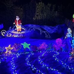 Carlsbad Christmas House