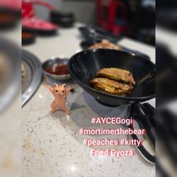 AYCE Gogi - West Hills - Fried Gyoza is on the AYCE side dish menu! #AYCEGogi #mortimerthebear #peaches #kitty