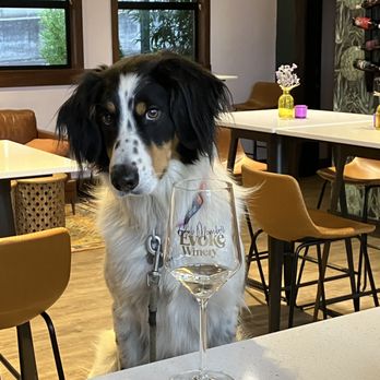 Evoke Winery - can I see your I.D please? - Wine Bars Near Me - Hood River, Oregon