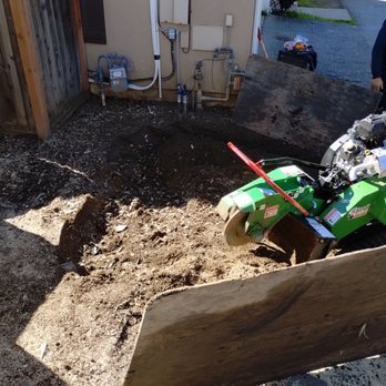Will's Tree Care - Tree Services Near Me