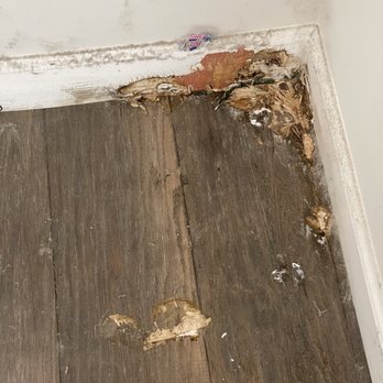 Advanced Restoration & Construction - Mold - Damage Restoration Near Me - Los Angeles, California