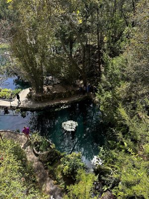 Cedar Lakes Woods and Gardens by null