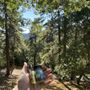 Photo of Mountain Community Collective