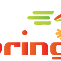 E-Gringos haftungsbeschränkt - Gringo-Logo