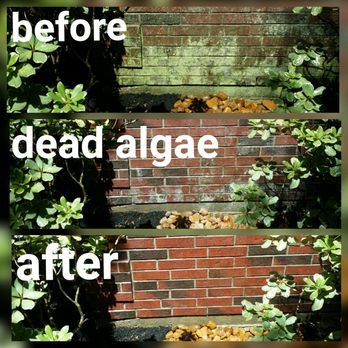 Jade Exterior Services - Cleaned without Pressure Washing ... NEVER PRESSURE WASH A HOUSE - Pressure Washers Near Me - Spring, Texas