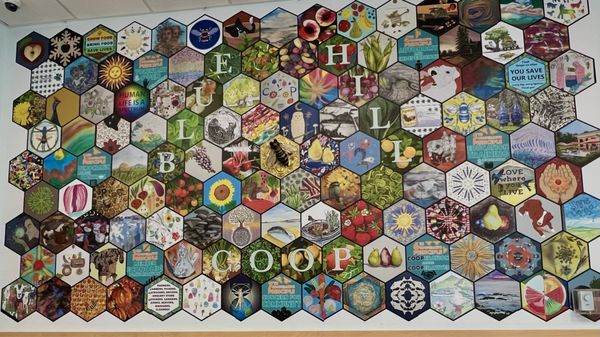 Blue Hill Co-op by null