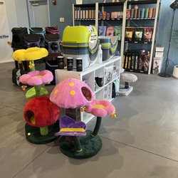 Pawsitive Vibes - Fun and funky cat towers (and, yes, customizable litter boxes)
