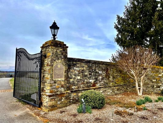 Shelton Vineyards by null