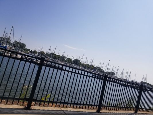 Belmont Harbor by null