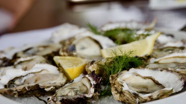 Le Carré d'Herbes by null