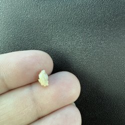 McDonald's - Large piece of gristle or bone from the sausage in the sausage egg and cheese McMuffin. Gross. Such poor quality.