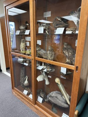 Children's Natural History Museum by null