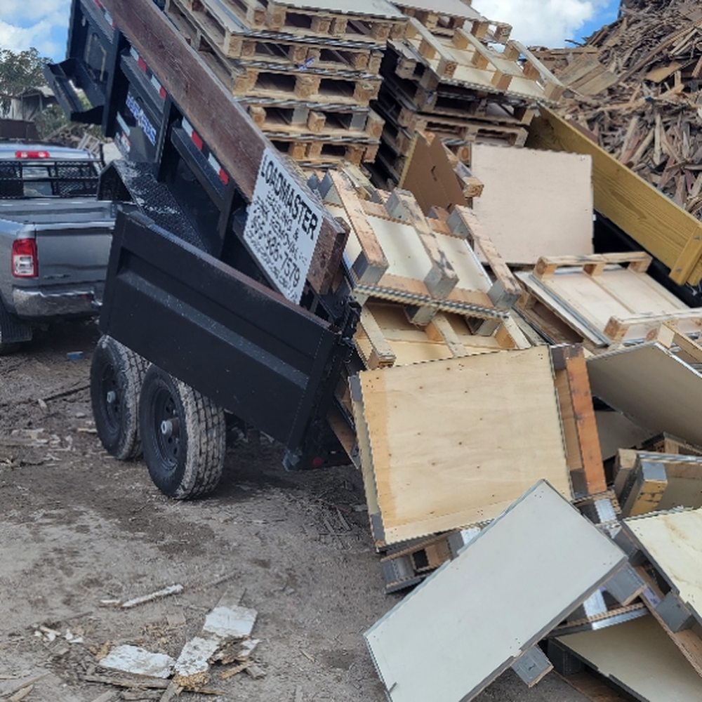 Investigan cuerpo hallado sin vida en un contenedor de basurero en Miami, image size:1000x1000