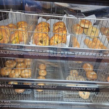 Main Street Bagel - They go by fast in the morning - Bagels Near Me - San Jose, California Main Street Bagel - They go by fast in the morning - Bagels Near Me - San Jose, California