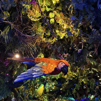 Rainforest Cafe - American Near Me - Ontario, California Rainforest Cafe - American Near Me - Ontario, California