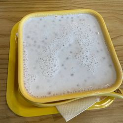 Toddy Palm Sago
