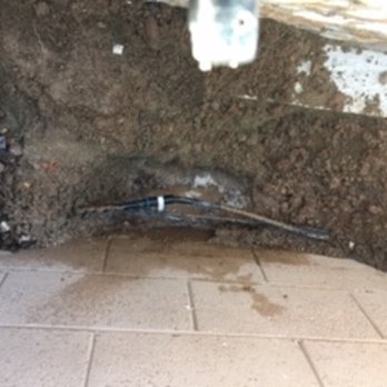Pool & Landscape AZ - 2nd drip system leak - Landscape Architects or Designers Near Me - Mesa, Arizona