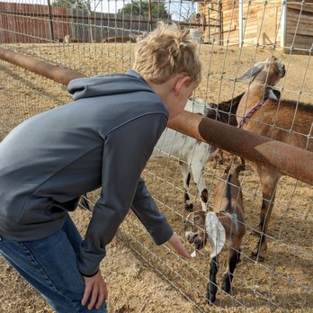 The Shady Oaks Farm - Attraction Farms Near Me - Atascadero, California The Shady Oaks Farm - Attraction Farms Near Me - Atascadero, California