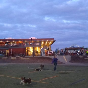 Bar K - Nighttime view from the playground looking back at the building. - Dog Parks Near Me - Kansas City, Missouri Bar K - Nighttime view from the playground looking back at the building. - Dog Parks Near Me - Kansas City, Missouri