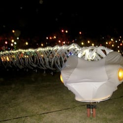 Nocturnal Wonderland - One of the many live art exhibits