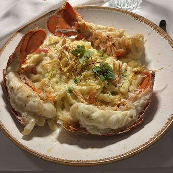 Cafe Thirty-A - Maine Lobster in Paradise - Seafood Near Me - Santa Rosa Beach, Florida Cafe Thirty-A - Maine Lobster in Paradise - Seafood Near Me - Santa Rosa Beach, Florida